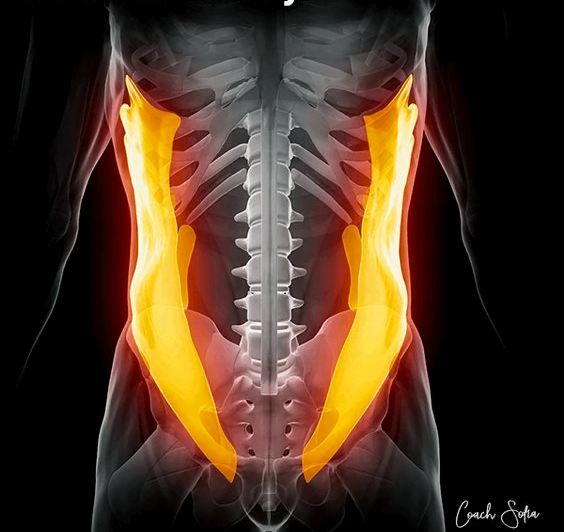 รักษาอาการปวดหลัง,บำบัดอาการปวดหลัง,ปวดหลัง,กระดูกทับเส้น,backpain,backpainhelp,หมอนรองกระดูกทับเส้นประสาท,office syndrome,สถาบันสอนว่ายน้ำ,ยึดเส้นประสาท