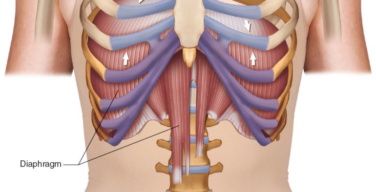 เข้าใจความผิดปกติของกะบังลมอย่าง Powerful 100%